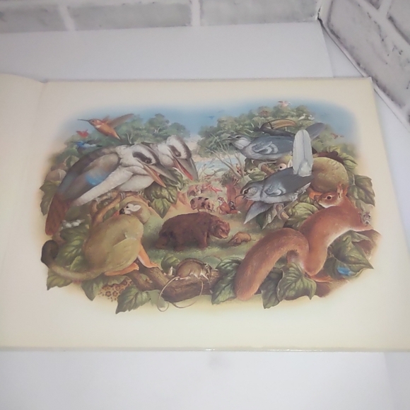 Mystery in Bugtown Book & Battle Of The Beasts - Picture 14 of 15